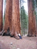 PICTURES/Sequoia National Park/t_Parker Group & Sharon2.JPG